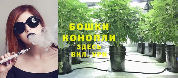 шишки Абдулино