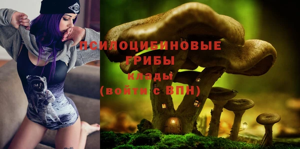 амф Абинск